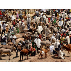 CALVENDO Puzzle CALVENDO Puzzle Lalibela Пазл CALVENDO Пазл Lalibela