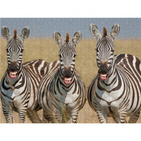 CALVENDO Puzzle CALVENDO Puzzle Emotionale Momente: Lachen ist gesund. Пазл CALVENDO Пазл Эмоциональные моменты: Смех полезен.