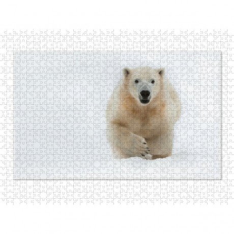 CALVENDO Puzzle CALVENDO Puzzle Emotionale Momente: Der Eisbar. \/ CH-Version Пазл CALVENDO Пазл Эмоциональные моменты: ледяной бар. \/ версия CH