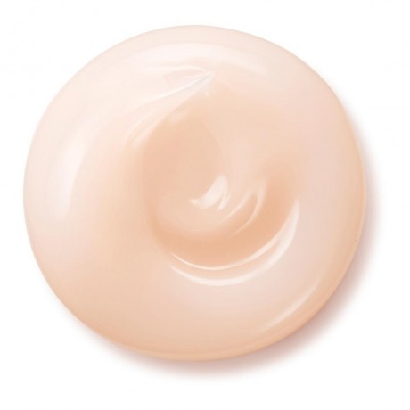 Shiseido Overnight Cream & Mask Ночной крем и маска