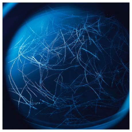 Biotherm Multi-Corrective Body Oil  Мульти корректирующее масло для тела