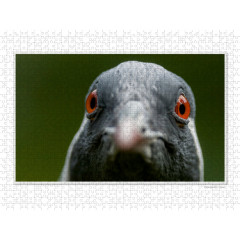 CALVENDO Puzzle CALVENDO Puzzle Emotional Moments: Die Augen der Tiere. Пазл CALVENDO Puzzle Emotional Moments: Глаза животных.