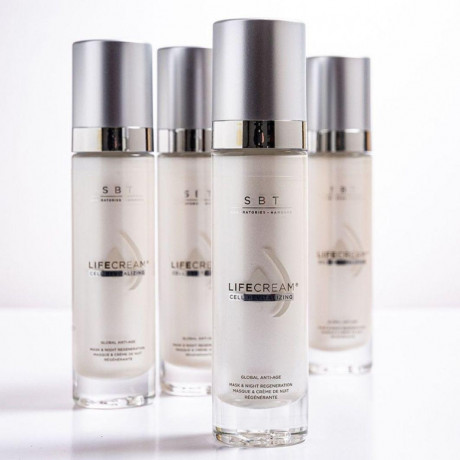 SBT cell identical care Night Chronobiology  Ночная хронобиология