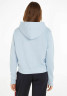 Tommy Hilfiger REG FROSTED CORP  Hoodie bleu  REG FROSTED CORP Толстовка с капюшоном синий