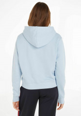 Tommy Hilfiger REG FROSTED CORP  Hoodie bleu  REG FROSTED CORP Толстовка с капюшоном синий