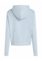 Tommy Hilfiger REG FROSTED CORP  Hoodie bleu  REG FROSTED CORP Толстовка с капюшоном синий