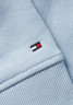 Tommy Hilfiger REG FROSTED CORP  Hoodie bleu  REG FROSTED CORP Толстовка с капюшоном синий