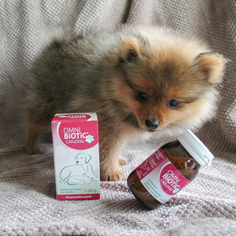 OMNi BiOTiC CAT & Dog 60g, Инновационный пробиотик для кошек и собак, быстро восстанавливает баланс микрофлоры и укрепляет иммунитет, 60г