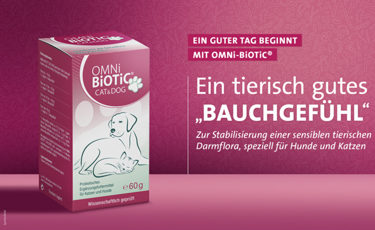 OMNi BiOTiC CAT & Dog 60g, Инновационный пробиотик для кошек и собак, быстро восстанавливает баланс микрофлоры и укрепляет иммунитет, 60г