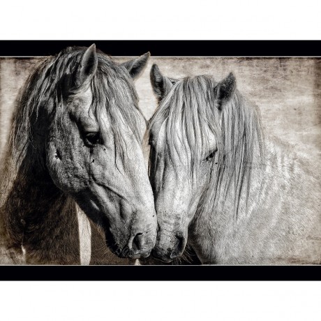 CALVENDO Puzzle CALVENDO Puzzle Die Verliebten Пазл CALVENDO Puzzle Влюбленные