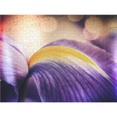 CALVENDO Puzzle CALVENDO Puzzle Iris-Blute Пазл CALVENDO Puzzle Цветение ириса