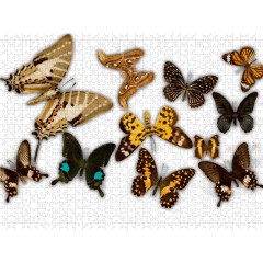 CALVENDO Puzzle CALVENDO Puzzle Schmetterlinge Пазл CALVENDO Пазл бабочки