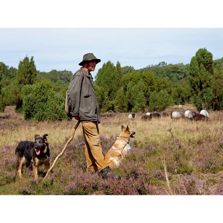 CALVENDO Puzzle CALVENDO Puzzle Schafer mit Heidschnuckenherde Пазл CALVENDO Пазл Пастух со стадом Heidschnucken