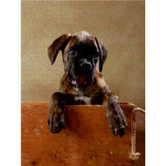 CALVENDO Puzzle CALVENDO Puzzle Gonzo Пазл CALVENDO Puzzle Гонзо