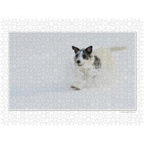 CALVENDO Puzzle CALVENDO Puzzle Emotionale Momente: Der beste Freund des Menschen. \/ CH-Version Пазл CALVENDO Пазл Эмоциональные моменты: Лучший друг человека. \/ версия CH