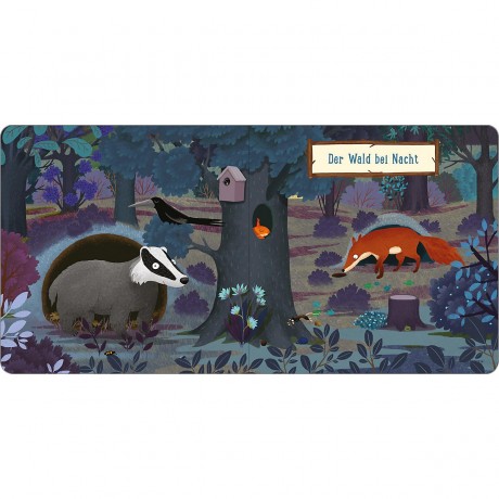 arsEdition Verlag Eine Nacht im Wald: Kleiner Dachs Ночь в лесу: барсучок