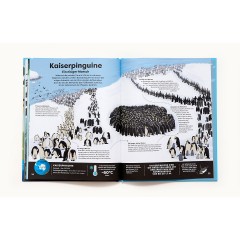 Laurence King Verlag Tiere in deiner Umgebung животные вокруг вас