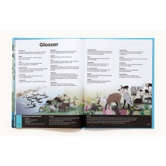 Laurence King Verlag Tiere in deiner Umgebung животные вокруг вас