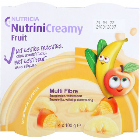 Nutricia NUTRINI Creamy Fruit Sommerfruchte  NUTRIN Creamy Fruit Летние фрукты