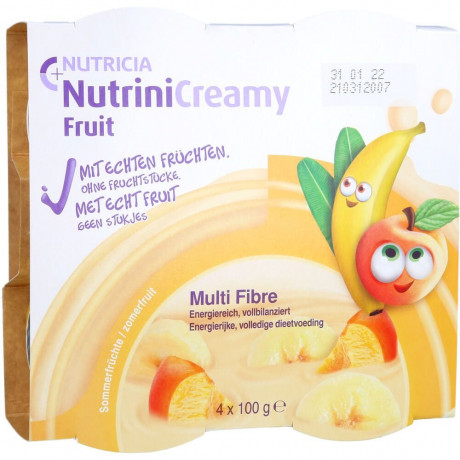 Nutricia NUTRINI Creamy Fruit Sommerfruchte  NUTRIN Creamy Fruit Летние фрукты