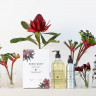 Bondi Wash Botanical Duo Fragonia & Sandalwood Ботанический дуэт Фрагония и Сандаловое дерево