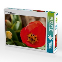 CALVENDO Puzzle CALVENDO Puzzle Fruhlingstulpen Пазл CALVENDO Пазл Весенние тюльпаны