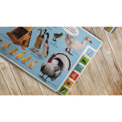 Dorling Kindersley Verlag Erstes Lernen. Jahreszeiten первое обучение. времена года