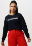 Tommy Hilfiger REG MONOTYPE EMB Sweatshirt blauw REG MONOTYPE EMB Толстовка синий и белый