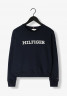 Tommy Hilfiger REG MONOTYPE EMB Sweatshirt blauw REG MONOTYPE EMB Толстовка синий и белый