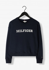 Tommy Hilfiger REG MONOTYPE EMB Sweatshirt blauw REG MONOTYPE EMB Толстовка синий и белый