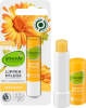 alverde NATURKOSMETIK Lippenbalsam Calendula Бальзам для губ с экстрактом Календулы, 4,8 г