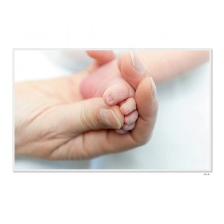 CALVENDO Puzzle CALVENDO Puzzle Emotionale Momente: Das Leben ist schon. \/ CH-Version Пазл CALVENDO Puzzle Эмоциональные моменты: жизнь прекрасна. \/ версия CH