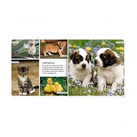 Coppenrath Verlag Meine liebsten Tierbabys Мои любимые детёныши животных