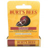 Burt's Bees Pomegranate Lip Balm Blister 4,25 g Блистеры с гранатовым бальзамом для губ