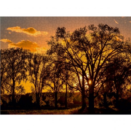 CALVENDO Puzzle CALVENDO Puzzle Sonnenlicht Пазл CALVENDO Puzzle Солнечный свет