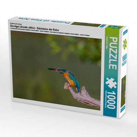 CALVENDO Puzzle CALVENDO Puzzle Eisvogel (Alcedo atthis) Пазл CALVENDO Puzzle Kingfisher (Alcedo atthis)