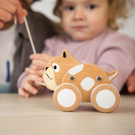 IGGY IGGY Nachziehhund Игги тянет собаку