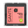 Sante Rouge Mineral Blush 01 Mellow Peach, Санте Натуральные минеральные румяна 01 Сочный персик