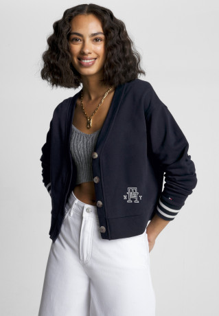 Tommy Hilfiger REG VARSITY IMD NY Zip-up sweatshirt desert sky REG VARSITY IMD NY Толстовка на молнии небо пустыни