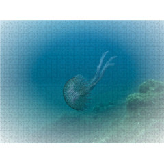 CALVENDO Puzzle CALVENDO Puzzle Faszination Leuchtquallen Пазл CALVENDO Puzzle Очарование светящихся медуз