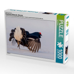 CALVENDO Puzzle CALVENDO Puzzle Emotionale Momente: Birkwild Пазл CALVENDO Puzzle Эмоциональные моменты: тетерев