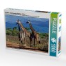 CALVENDO Puzzle CALVENDO Puzzle Giraffen. Faszinierende Wildtiere Afrikas Пазл CALVENDO Пазл жирафы. Завораживающая дикая природа Африки