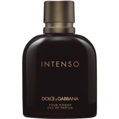 Dolce&amp;Gabbana (Дольче Габбанна) Intenso Eau de Parfum Парфюмерная вода Spray Спрей, 125 мл