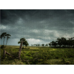 CALVENDO Puzzle CALVENDO Puzzle Nach dem Gewitter Пазл CALVENDO Puzzle После грозы