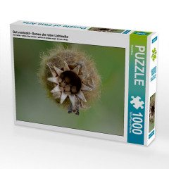 CALVENDO Puzzle CALVENDO Puzzle Gut versteckt Пазл CALVENDO Puzzle Хорошо спрятан