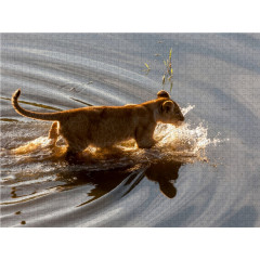 CALVENDO Puzzle CALVENDO Puzzle Lowenbaby Пазл CALVENDO Puzzle лев малыш