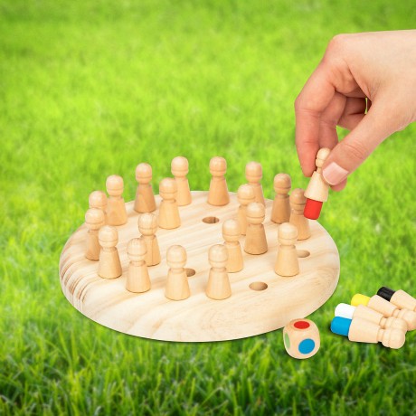 Toyfel Memory Schach Gedachtnisspiel Magnus 17 Игра на память в шахматы Magnus 17