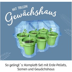 Kosmos Mitbringexperiment Mimosen-Garten Возьмите с собой эксперимент в саду мимозы