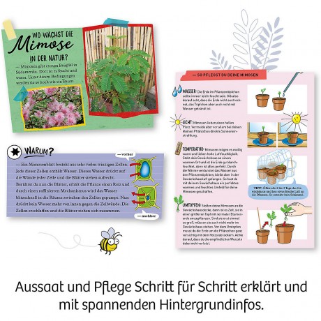 Kosmos Mitbringexperiment Mimosen-Garten Возьмите с собой эксперимент в саду мимозы