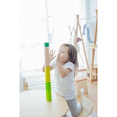 PLANTOYS Motorik Essential Serie: Blocke sortieren Motorikspielzeug Motor Skills Essential Series: игрушки для сортировки блоков по моторике